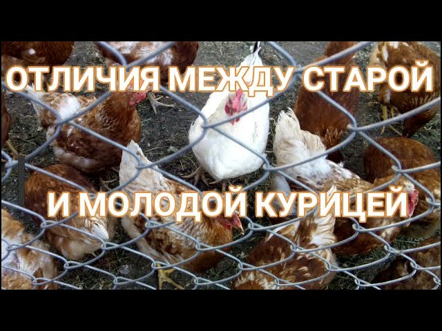 Балшой грудка - список видео по запросу балшой грудка порно Балшой грудка - список видео по запросу балшой грудка порно