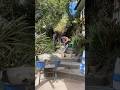 WAM DEMOS - hot summers days are coming #concrete #diy #sand #cement #mix #stairs #diy #viral #demo