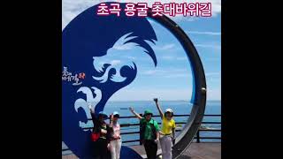 #초곡용골 촛대바위길#바다를가장가까이만나는곳#거북바위#출렁다리#해안절경#Shorts