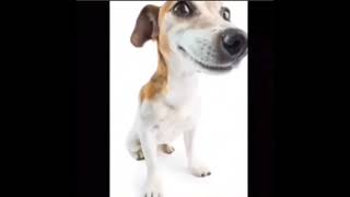 Screen Recording 20220616 140836 Twitter mp4