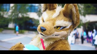 【Furry】Infurnity 2023The Taiwanese Festival / 獸無限2023戲獸台灣  個人隨拍紀錄 淡水福容