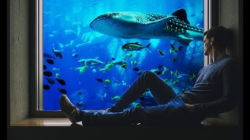 How To Make Underwater Window Manipulation Scene Effect In Photoshop