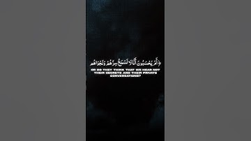 سورة الزخرف - [76-82] (ياسر الدوسري)