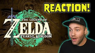 Zelda Streamer REACTS to Tears of the Kingdom!