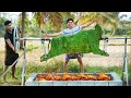 100 kg full beef grill  green beef barbecue recipe  cooking in village style