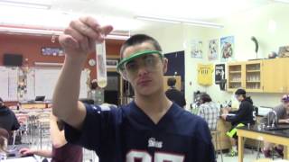 Mr. Auerbach's Biology class