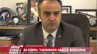 84 KÖPEK, TAŞINIRKEN ARAÇTA BOĞULMUŞ