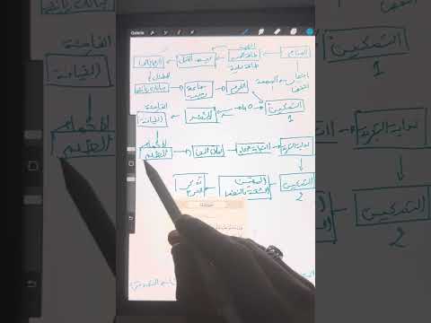 مراحل التداوي من جروح الطفولة من القرآن نموذج قصة سيدنا يوسف