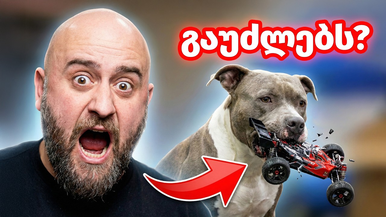 ბიუჯეტური RC მანქანები გავტესტე - ღირს თუ არა ფულის გადახდა?