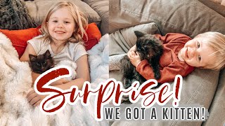 SURPRISING MY KIDS WITH A KITTEN! | DAY IN THE LIFE OF A MOM