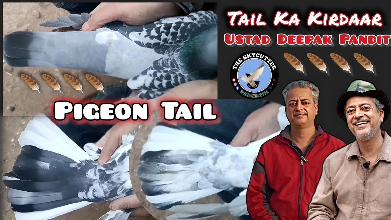 Tail ka Parwaz Mein Kya Kirdar Hai with Ustad Deepak Pandit by Aamir 