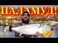 Паламуди за Никулден За ЛАПНИШАРАНИ Get In!