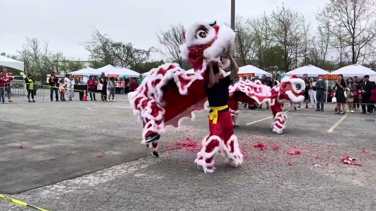 Taiwan Spring Festival Event Lion Dance Performance Adult Team 3.30.25 (Sunday)