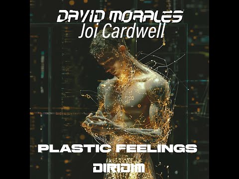 Jocelyn Brown ‎デヴィッド・モラリス David Morales David Morales Featuring Jocelyn Brown - Winners (Alternative