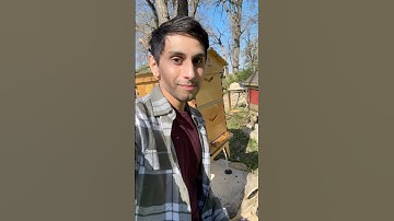 Is Flow Hive’s Open Harvesting Safe? Beekeeping Laws and Best Practices Pt.2 #flowhive #beekeeping