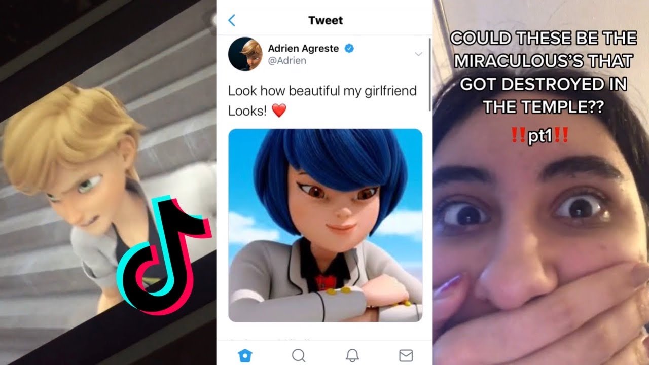 memes de miraculous ladybug on X:  / X