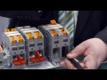 Pt power terminal blocks  phoenix contact