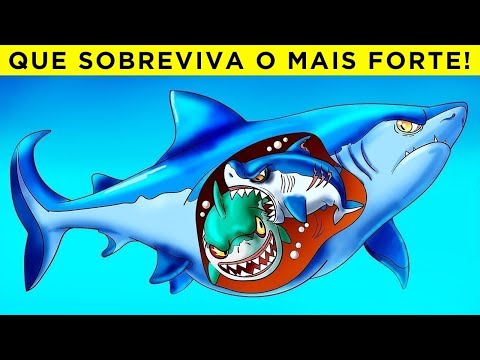 Vídeo: Quando os animais se comportam mal - a visão de um escritor no lado negro do reino animal