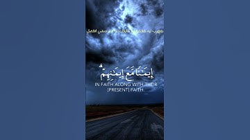 قرآن كريم الشيخ عبد الرحمن مسعد بصوت رائع #فلسطين #مصر #اليمن #العراق #الجزائر