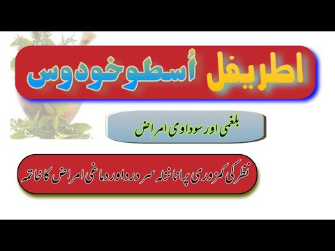   اطریفل اسطوخودوس         