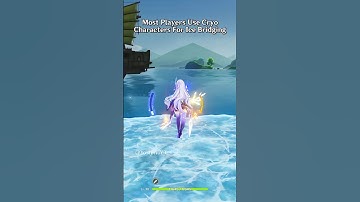 Some Players Use Different Element Characters In Genshin Impact