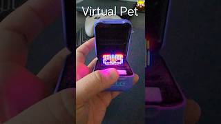 Holographic Virtual Pet