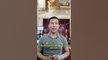 Làm video hoạt hình 3D chỉ với vài cú click chuột #họcai #nguyễnvinh