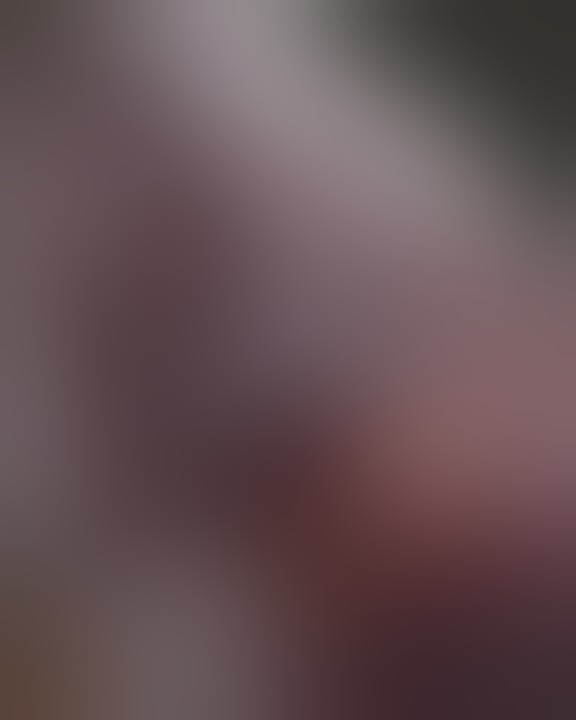 looking for your own dragon? 🐉🐉 #mrhankeystoys #funfinds #explore Find more @ bit.ly/mrhankeystoys_x