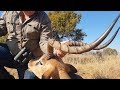 Hunting the Impala Grand Slam with Nahla Safaris, Ep. 49