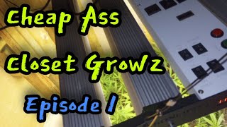 Cheap Ass Closet Growz: Ep.1 Set ups, Tips & Cost break downs. #growlights #cannabiseducation #diy