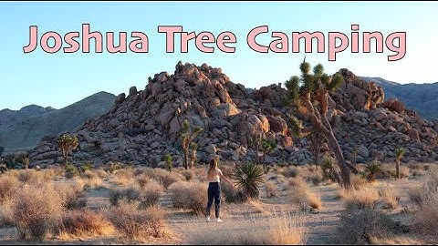 Camping in Joshua Tree + Palm Springs | Andrea