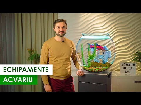 Video: Cum Se Spală Plantele Dintr-un Acvariu