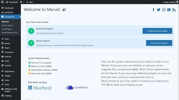 How To Make My Website Looks Like The WordPress Theme Demonstrative Site? 1 Click Import Tutorial