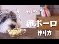 犬おやつ手作りレシピ|手作り卵ボーロの作り方を紹介