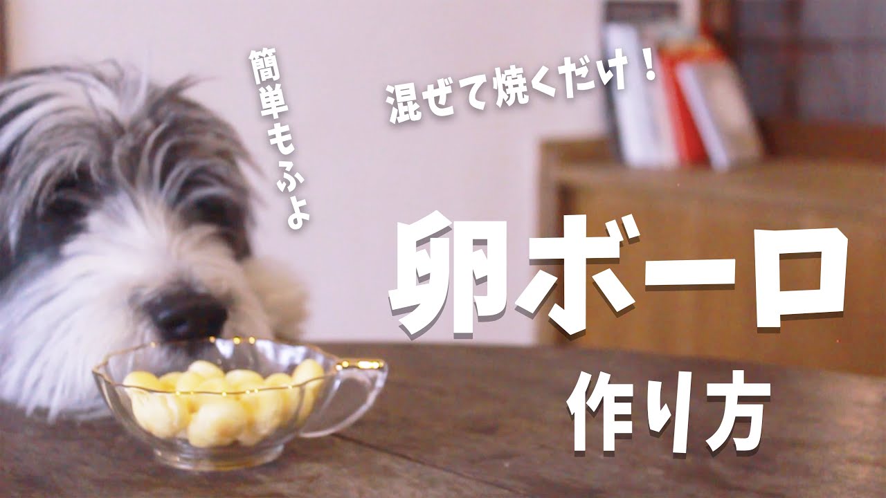犬おやつ手作りレシピ 手作り卵ボーロの作り方を紹介 Youtube