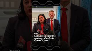 Labour promises nurse graduates the jobs they deserve if elected | RNZ