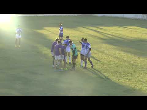 15.ხვამლი - აკადემია