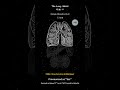🔊 [For Speaker] 528 Hz | Lung Detox | Metal Element Sound 🪙 Dispel Sadness #Shorts