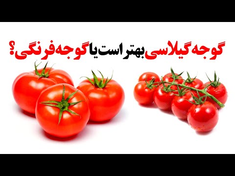 تصویری: نام گوجه فرنگی های موروثی چیست؟