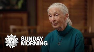 From the archives: Naturalist Jane Goodall