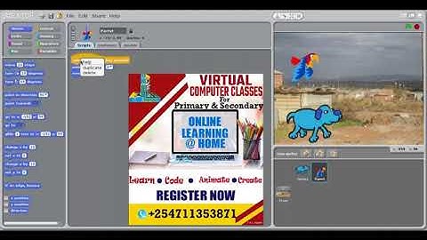 Scratch Programming for Primary and Secondary schools