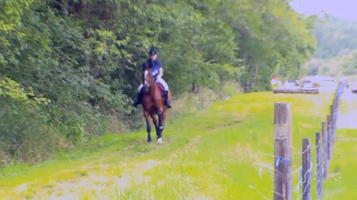 Nina Upham; Chehalis Valley Pony Club Benefit Hors...