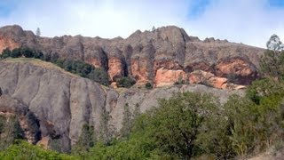 Shaping Life: The Geology of Mediterranean-Climate Ecosystems