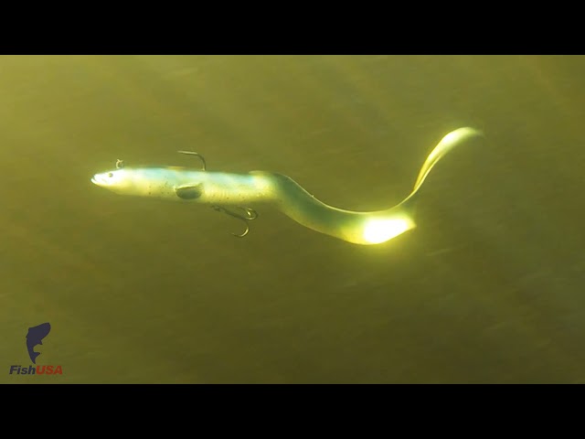 Savage Gear Prerigged 3D Real Eel Video 