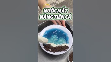 NƯỚC MẮT NÀNG TIÊN CÁ