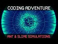 Coding Adventure: Ant and Slime Simulations