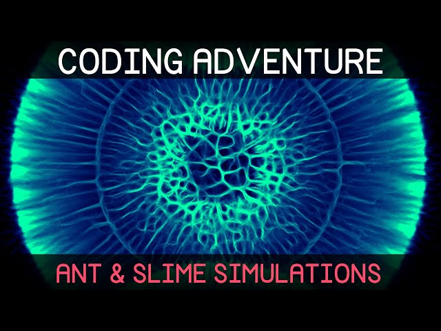 Coding Adventure: Ant and Slime Simulations class=