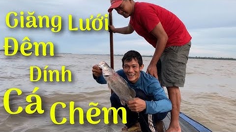 Thức Trắng Đêm Giăng Lưới Cá Chẽm Và Cái Kết Có Hậu | Cù Lao Dung Vlogs #83