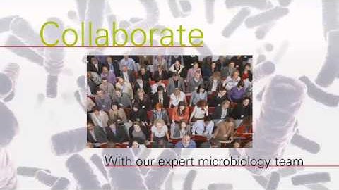 Connect, Collaborate, Solve with Thermo Scientific Food Microbiology Solutions