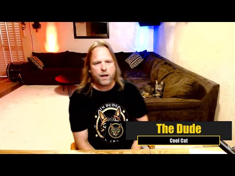 How To Buy Crypto Meme Coins for Beginners - DudeCoin